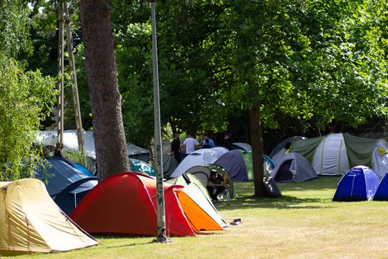 20250704_Wielgut_5579.jpg